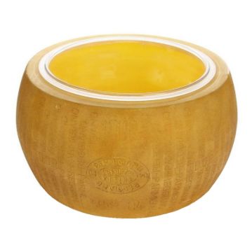 Image de Parmesan Reggiano